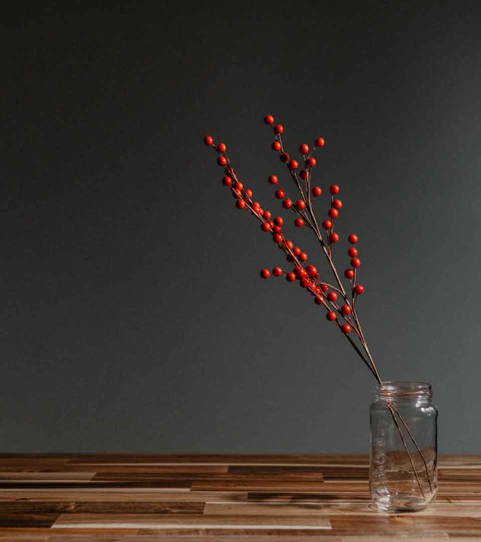 Main Banner Image 1